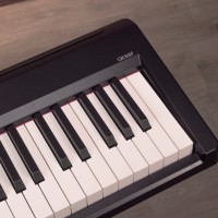 OQAN QK88P - Piano digital 88 teclas con Bluetooth y MIDI OQAN QK88P - Piano digital 88 teclas con Bluetooth y MIDI