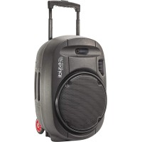 Ibiza Sound PORT12UHF BT MKII TWS – Altavoz portátil 12″