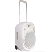 IBIZA SOUND PORT12UHF-WH BT MKII