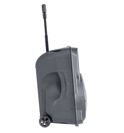 PARTY 10 RGB ALTAVOZ CON BATERIA Y EFECTOS