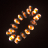 ≫ Comprar AFX HOTBEAM-16R - 2.969 € | Profesional DJ® ≫ Comprar AFX HOTBEAM-16R - 2.969 € | Profesional DJ®