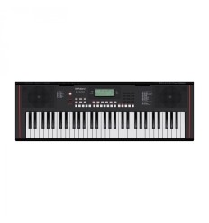 ROLAND E-X10