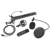 ≫ Comprar BST STM300-PLUS - 109.90 € | Profesional DJ®