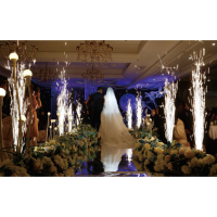 ≫ Comprar AFX SPARKULAR-MINI - 1579.90 € | Profesional DJ®