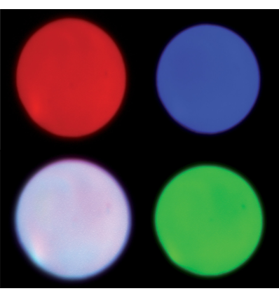 ≫ Comprar IBIZA LIGHT LEDSPOT10W - 49.95 € | Profesional DJ®