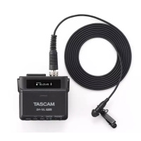 TASCAM DR-10L PRO