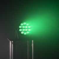 ≫ Comprar IBIZA LIGHT THINPAR-14X6W-RGBW - 74.90 € | Profesional DJ®