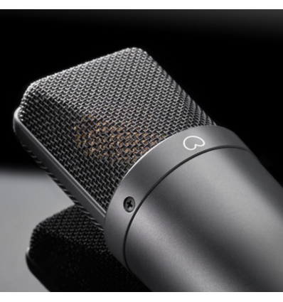 ≫ Comprar NEUMANN TLM 193 - 1358 € | Profesional DJ®