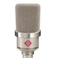 ≫ Comprar NEUMANN TLM 102 Níquel - 579 € | Profesional DJ®