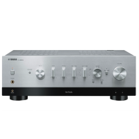 YAMAHA R-N800A SILVER