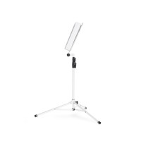 GRAVITY NS 441 W GRAVITY NS 441 W