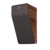 POLK AUDIO RESERVE R-900 BR