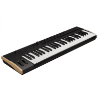 KORG KEYSTAGE 49 KORG KEYSTAGE 49