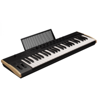 KORG KEYSTAGE 49 KORG KEYSTAGE 49