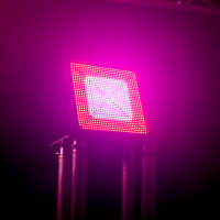 ≫ Comprar AFX HYPNOTIC - 375 € | Profesional DJ® ≫ Comprar AFX HYPNOTIC - 375 € | Profesional DJ®