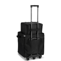 LD SYSTEMS DAVE 10 G4X BAG SET