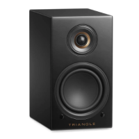 TRIANGLE LN01A NEGRO TRIANGLE LN01A NEGRO