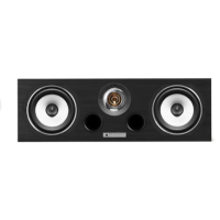 TRIANGLE ESPRIT EZ VOCE