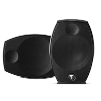 FOCAL SIB EVO 5.1