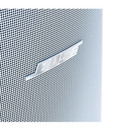 El BOSE DM8SE es un altavoz con un sonido único