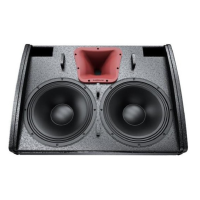 Comprar AUDIOCENTER WM210-DSP MONITOR ACTIVO DSP | Profesional DJ