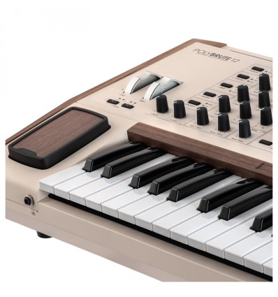 Arturia PolyBrute 12 - Sintetizador analógico polifónico de 12 voces