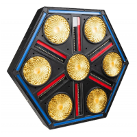 ≫ Comprar BRITEQ BTX-SKYRAN MULTIEFECTO HEXAGONAL | Profesional DJ®