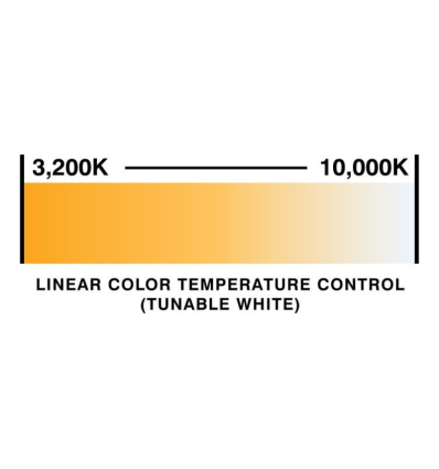 ≫ Comprar ELIMINATOR STRYKER WASH - 535 € | Profesional DJ®