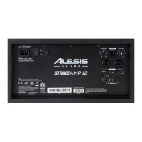 ≫ Comprar ALESIS STRIKE AMP 12 MK2 - 425 € | Profesional DJ®