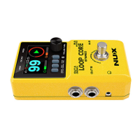 NUX LOOP CORE STEREO NUX LOOP CORE STEREO