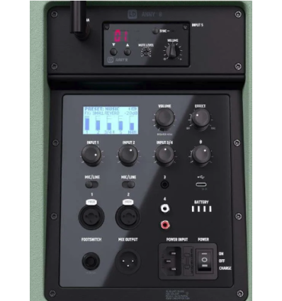 LD Systems ANNY 8 HHD B5 GN - Altavoz portátil con Bluetooth y micrófo