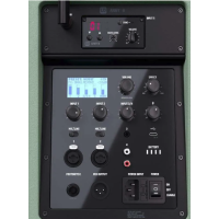 LD Systems ANNY 8 HHD B5 GN - Altavoz portátil con Bluetooth y micrófo LD Systems ANNY 8 HHD B5 GN - Altavoz portátil con Bluetooth y micrófo