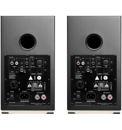 Triangle AIO TWIN - Altavoces activos negros con Wi-Fi y Bluetooth