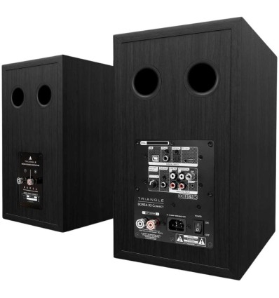 Triangle Borea BR03 Connect - Altavoces activos en negro