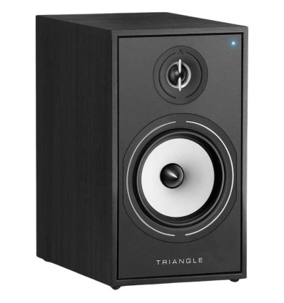 Triangle Borea BR03 Connect - Altavoces activos en negro