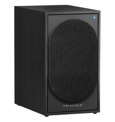Triangle Borea BR03 Connect - Altavoces activos en negro