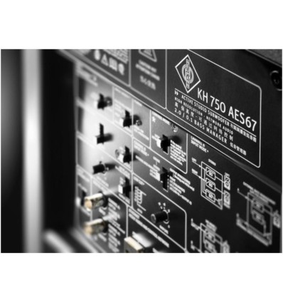 Neumann KH 750 AES67 - Subwoofer activo con DSP