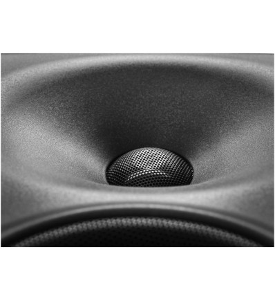 Neumann KH 120 II - Monitor de estudio activo con DSP integrado