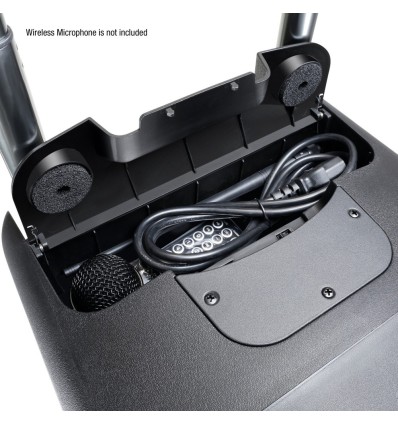 LD SYSTEMS ROADBUDDY 10 BASIC