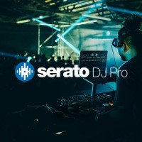 Licencia Digital Serato DJ Pro | Software Profesional para DJs