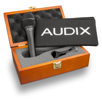 Audix VX10 - Micrófono de condensador cardioide profesional