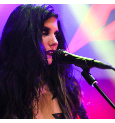 sE Electronics V7 BLACK - Micrófono dinámico supercardioide para voces