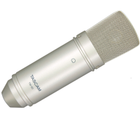 TASCAM TM-80 – Micrófono de condensador cardioide para home studio