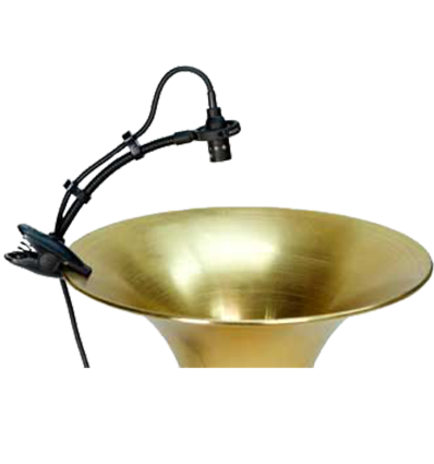 Audix ADX20i-P - Micrófono de condensador para instrumentos de viento