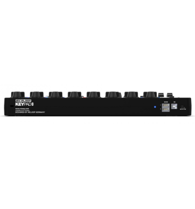 Reloop Keypad Pro - Controlador MIDI 25 teclas y 16 pads RGB