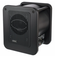 Genelec 7050 CPM - Subwoofer Activo de 8" para Monitores de Estudio