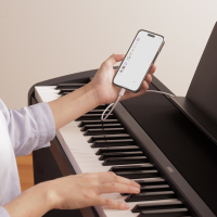 KORG B2+ BK: Piano digital de 88 teclas con sonido profesional