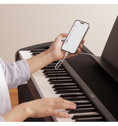 KORG B2+SP BK: Piano digital completo con soporte y pedalera