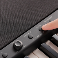 KORG B2+SP BK: Piano digital completo con soporte y pedalera