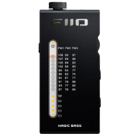 FiiO RR11 Black: Radio FM portátil HiFi con DAC y amplificador